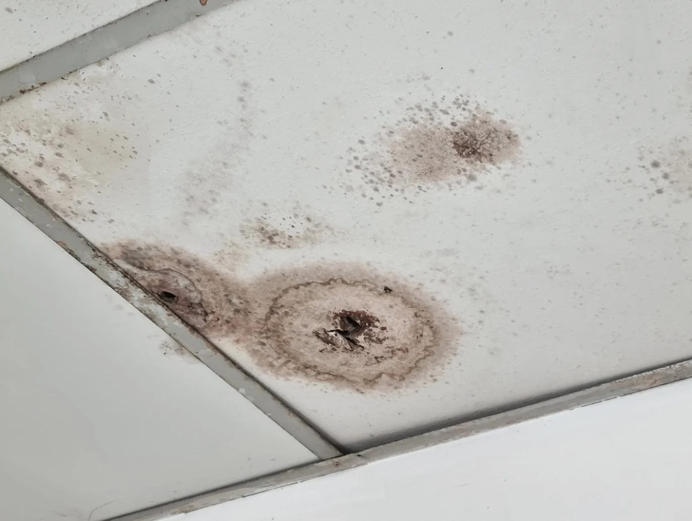 Quitar humedad de trasteros
